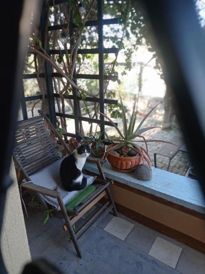 Hébergement de vacances Serenata