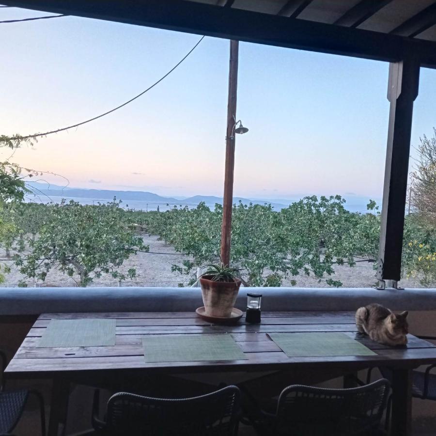 Hébergement de vacances Serenata Aegina