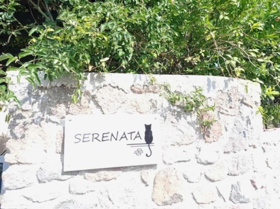Hébergement de vacances Serenata